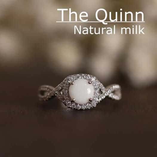 The Quinn image 10