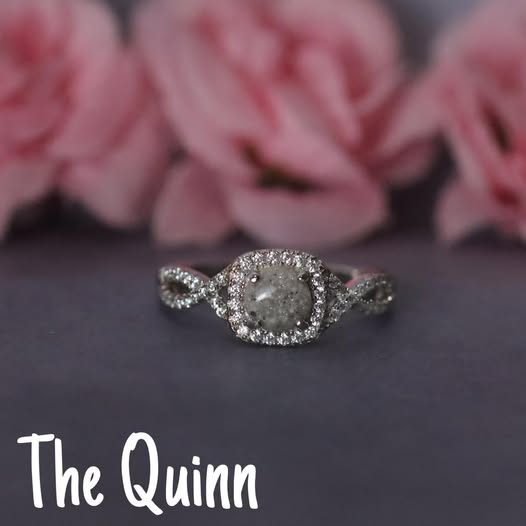 The Quinn image 14