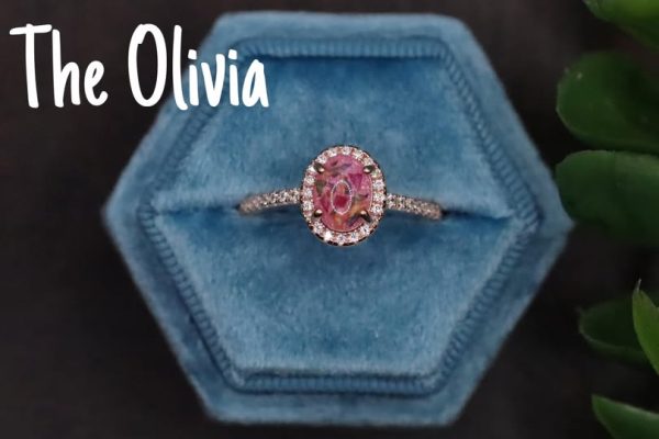 The Olivia
